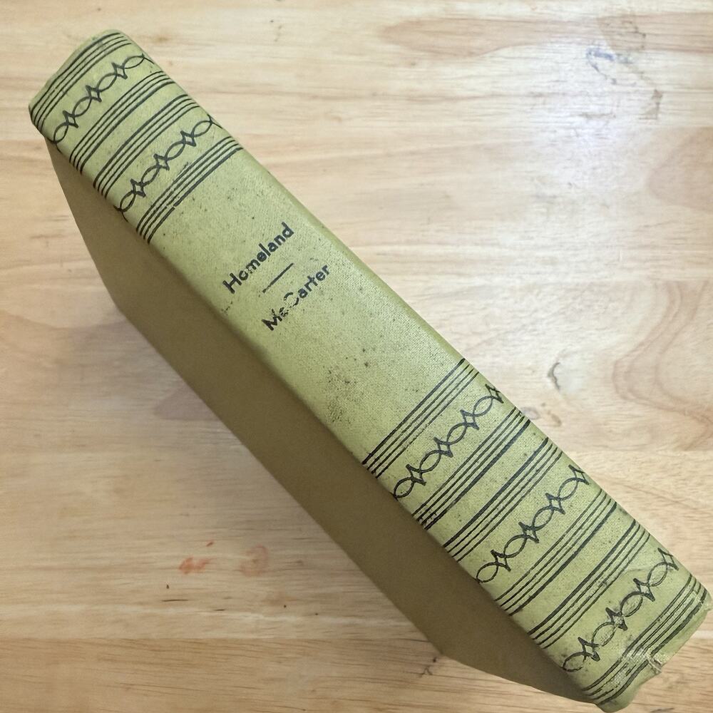 Homeland A Present Day Love Story by Margaret Hill McCarter Hardcover Vtg 1922